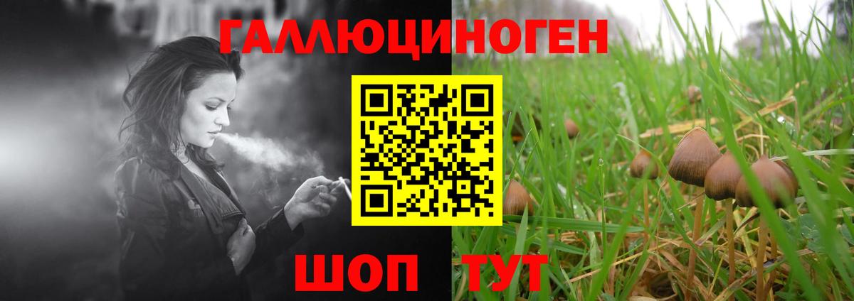 Псилоцибиновые грибы Magic Shrooms Малоярославец